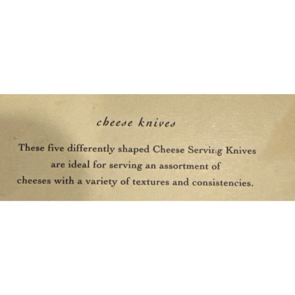 Pottery Barn charcuterie Cheese Knives Set of 5 Made in Italy